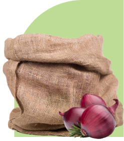raw cashew nuts