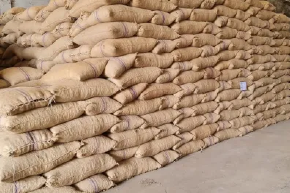 raw cashew jute bag